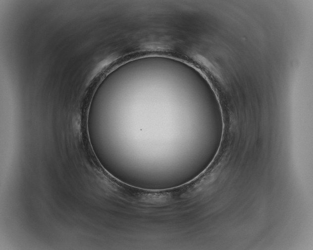 X0000112831307200908281523