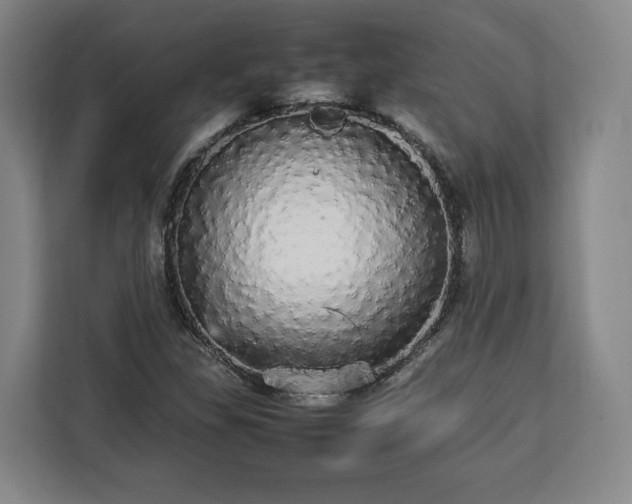 X0000112831309200908281523