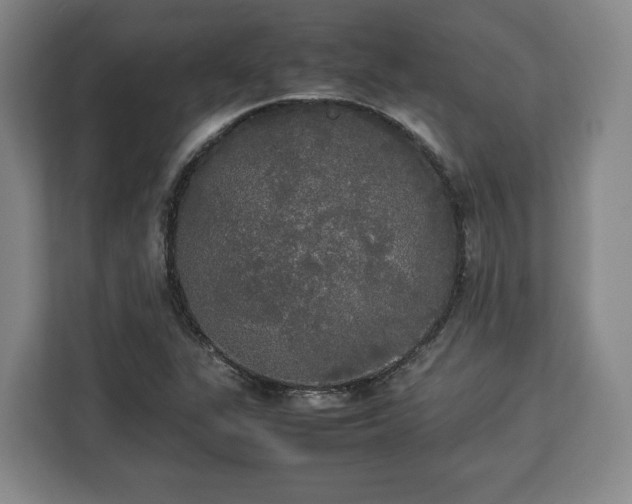 X0000112831311200908281523