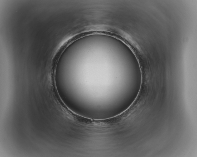 X0000112831312200908281523