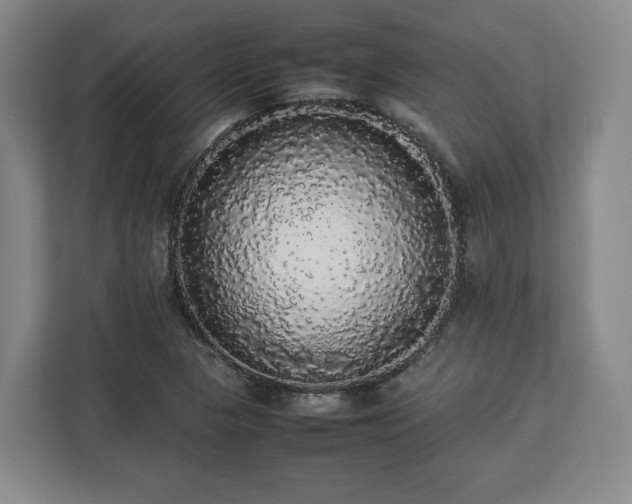 X0000112831313200908281523