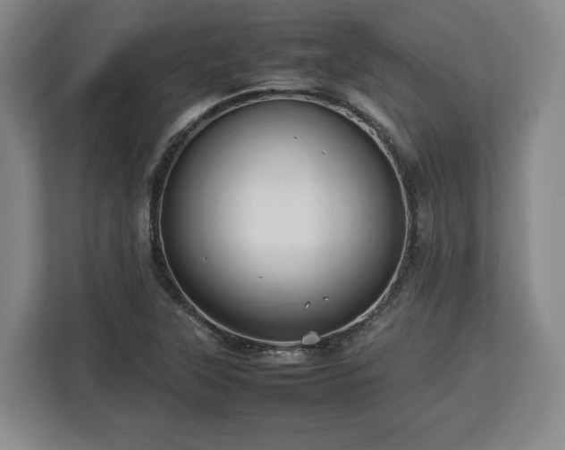 X0000112831315200908281524