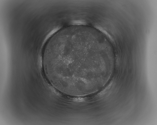 X0000112831317200908281524