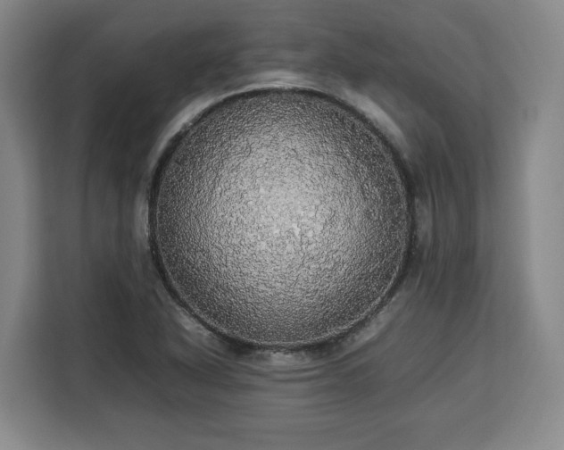 X0000112831318200908281524