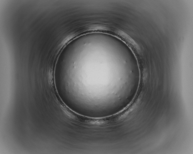 X0000112831321200908281524