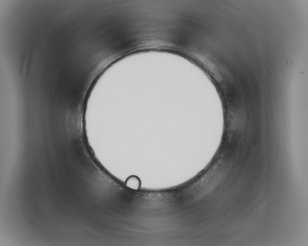 X0000112831322200908281524