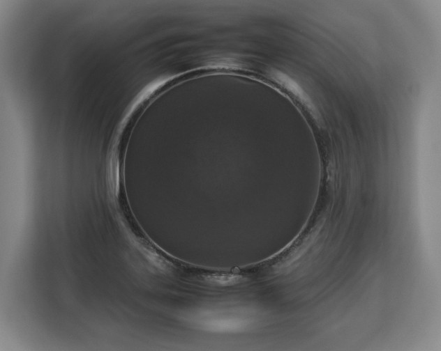 X0000112831323200908281524