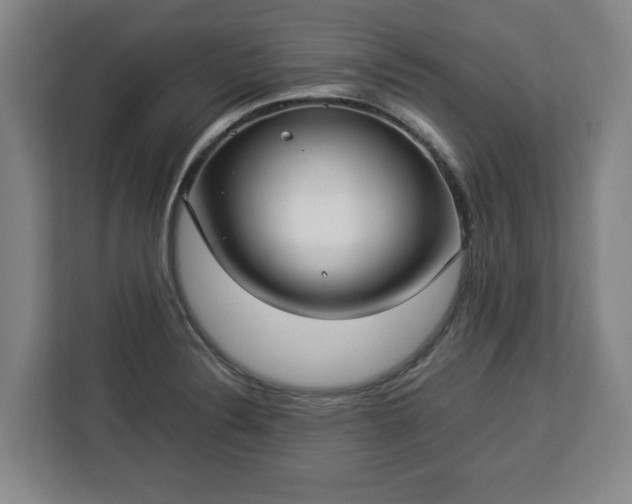 X0000112831324200908281524