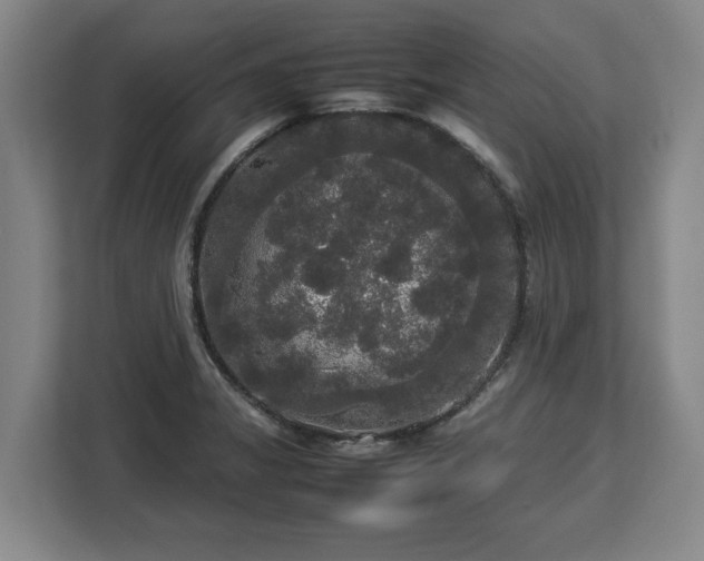 X0000112831325200908281524