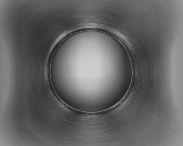 X0000112831326200908281524