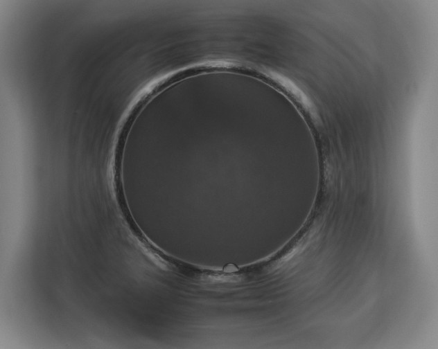 X0000112831327200908281524