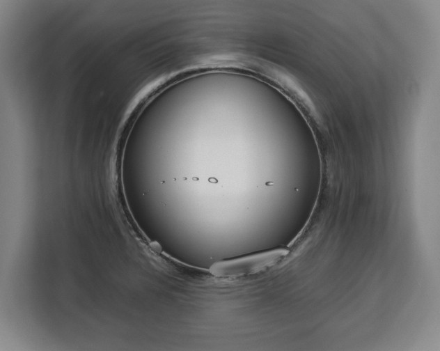 X0000112831328200908281524