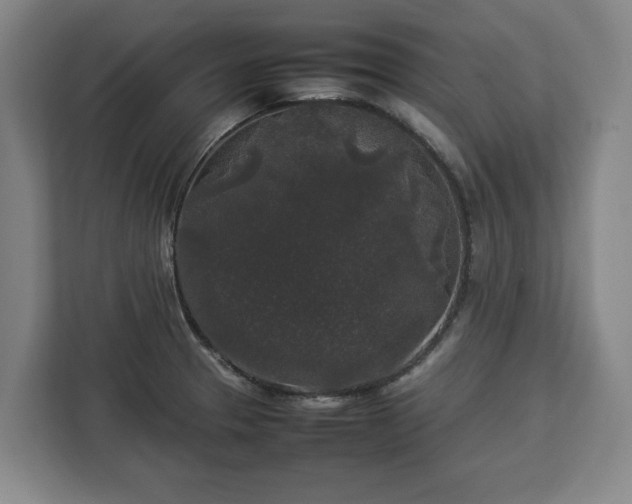 X0000112831329200908281524