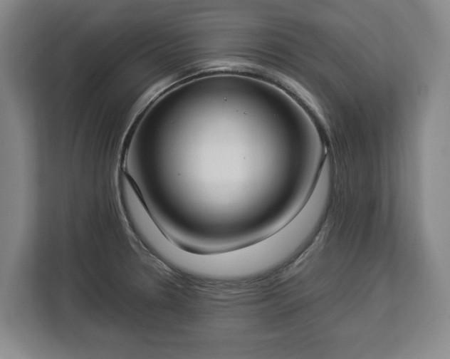 X0000112831330200908281524