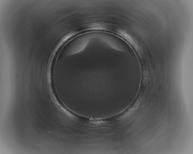 X0000112831331200908281524