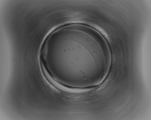 X0000112831334200908281524