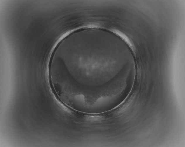 X0000112831335200908281524