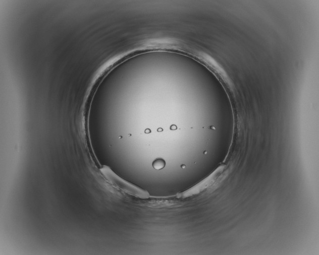 X0000112831336200908281524