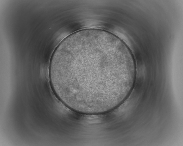 X0000112831338200908281524