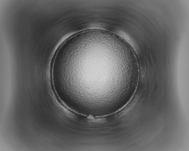 X0000112831339200908281524