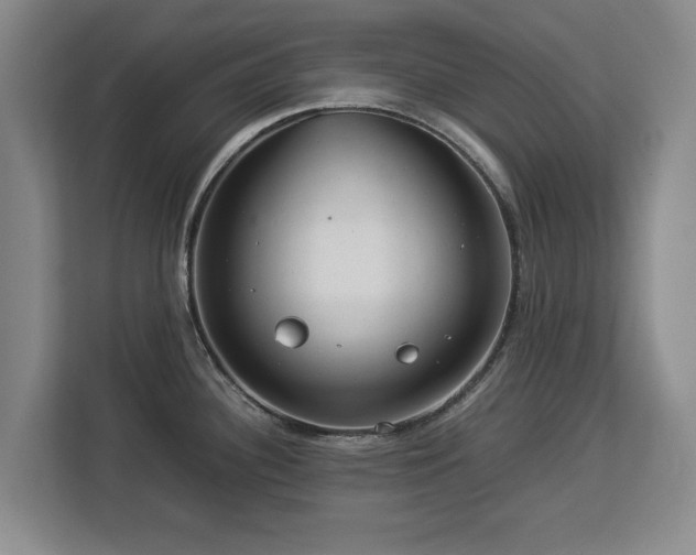 X0000112831340200908281524