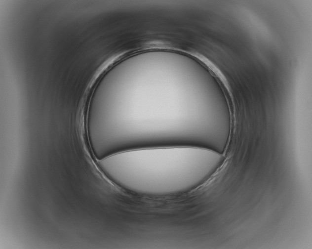 X0000112831341200908281524