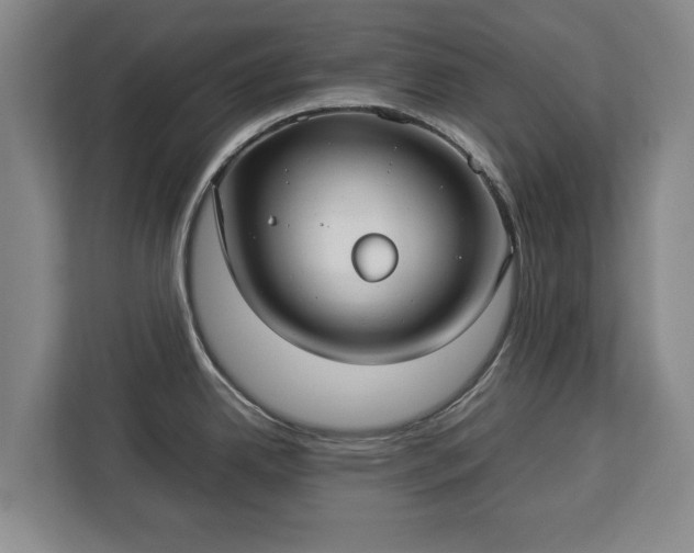 X0000112831342200908281524