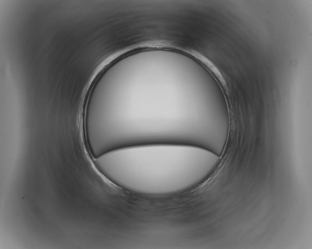 X0000112831343200908281524