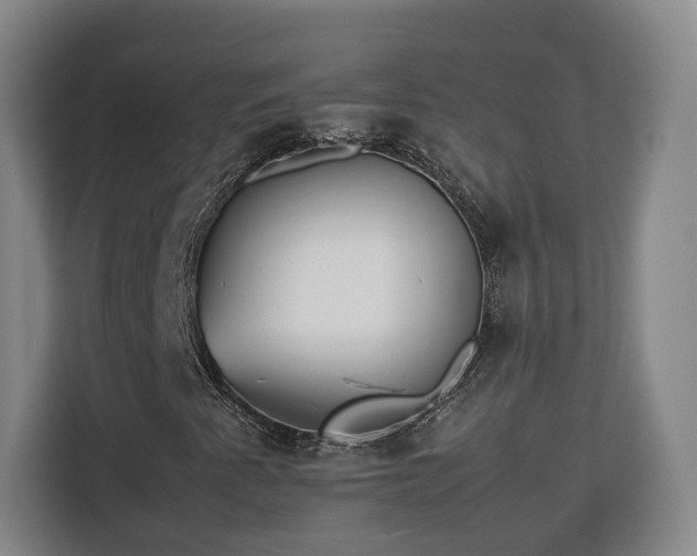 X0000112831345200908281523