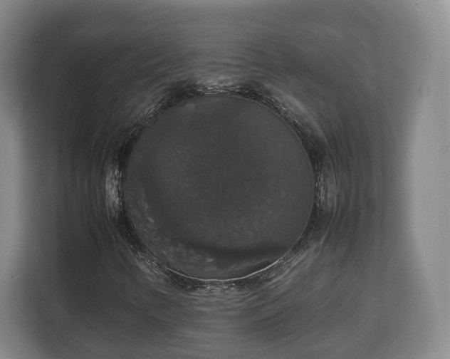 X0000112831346200908281523