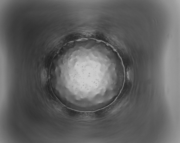 X0000112831347200908281523