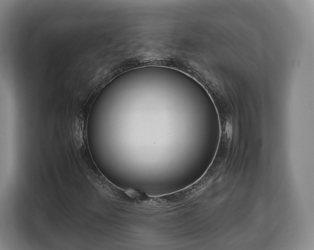 X0000112831348200908281523