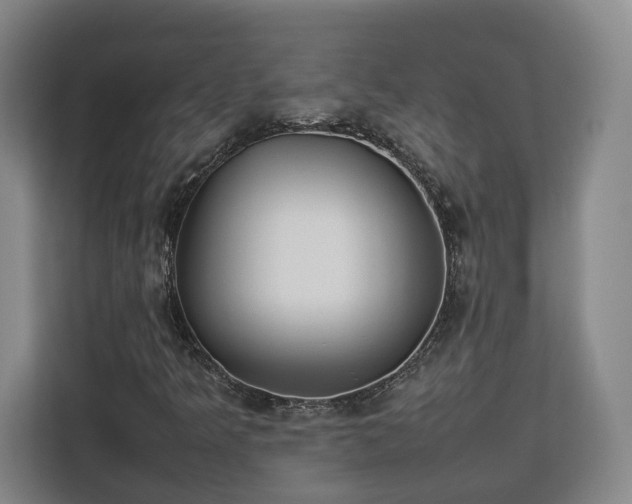 X0000112831349200908281523