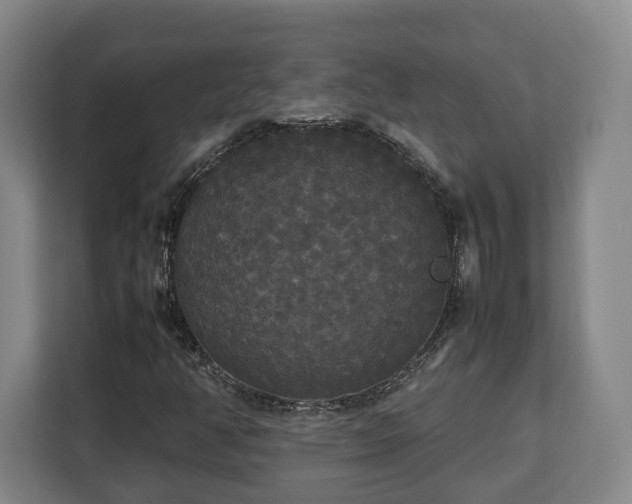 X0000112831350200908281523