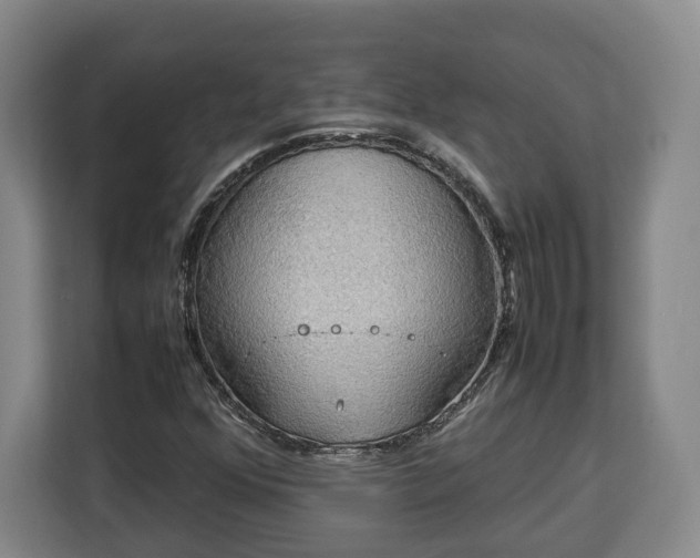 X0000112831352200908281523