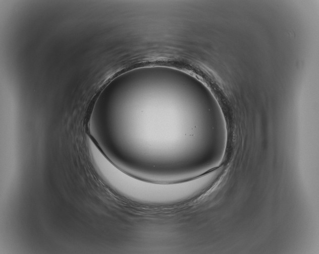 X0000112831353200908281523