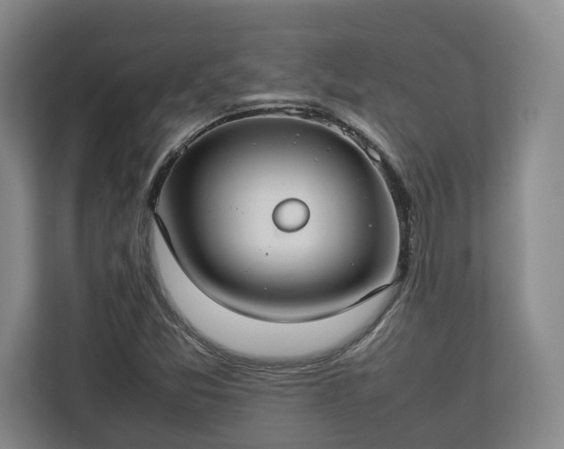 X0000112831357200908281523