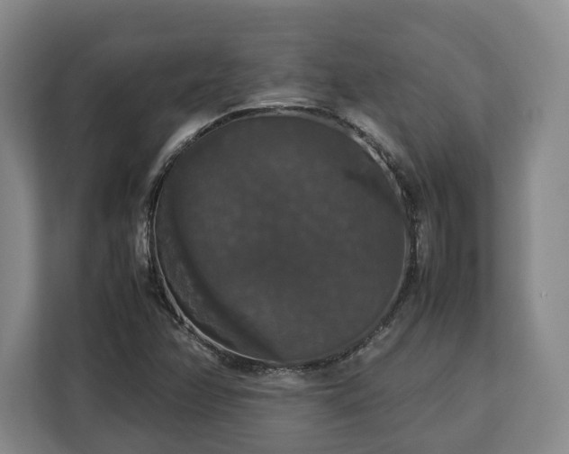 X0000112831358200908281523