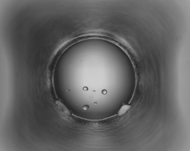 X0000112831360200908281523