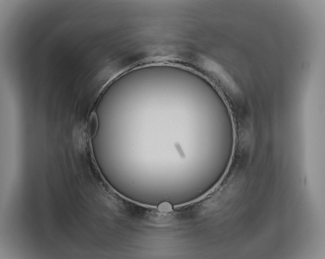 X0000112831361200908281523