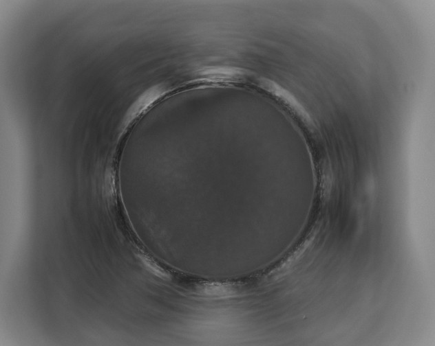 X0000112831362200908281523