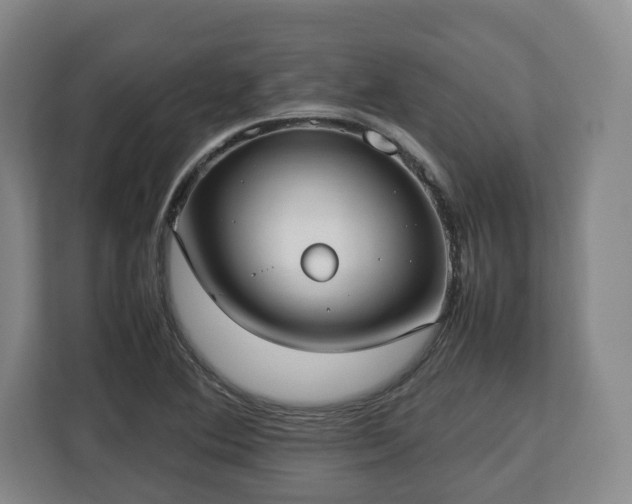 X0000112831364200908281523