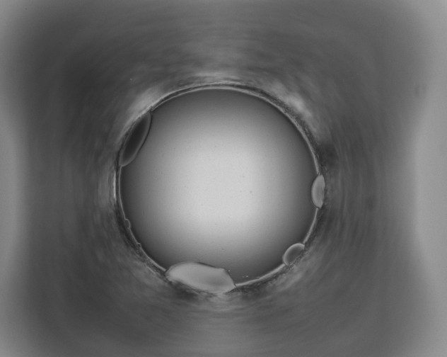 X0000112831365200908281523