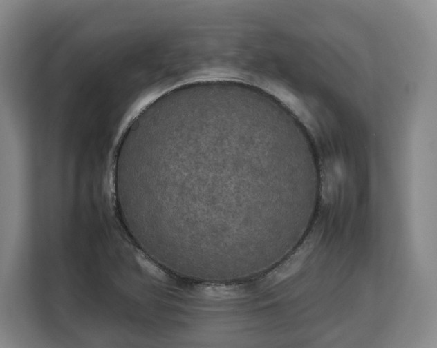 X0000112831366200908281523