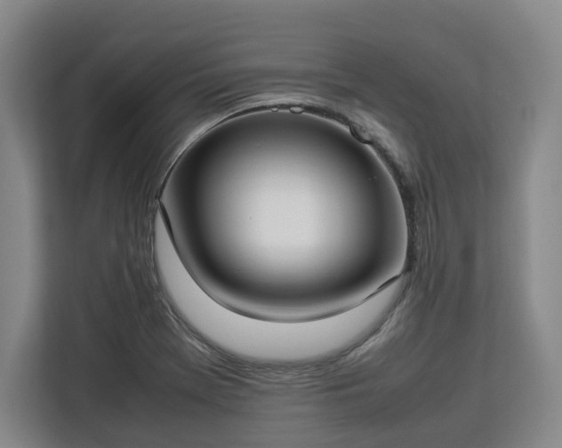 X0000112831369200908281523