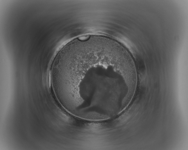 X0000112831371200908281523