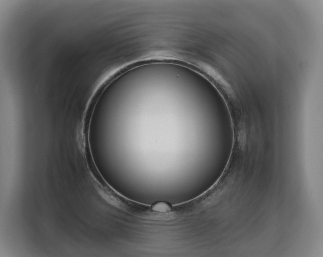 X0000112831372200908281523