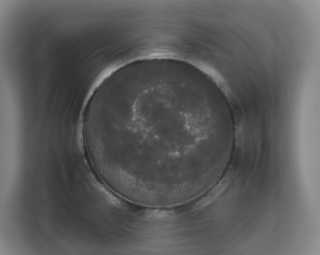 X0000112831374200908281523