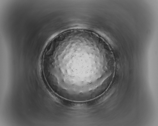 X0000112831375200908281523