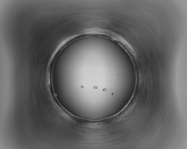 X0000112831376200908281523